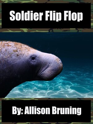 cover image of Soldier Flip Flop